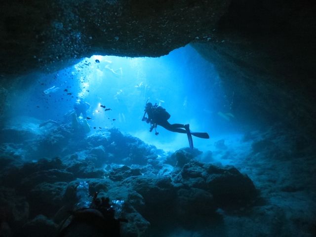 The Dive OHANA