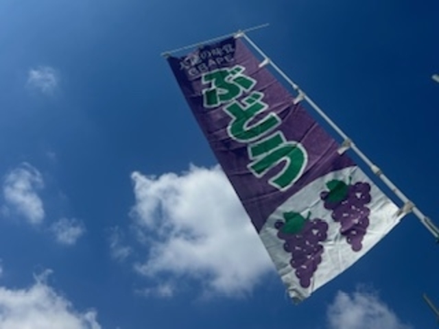 葡萄 KURANSA
