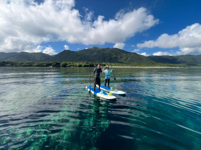 静かな海と壮大な山々を背景に、贅沢なSUPクルージング体験を満喫!_まるひで