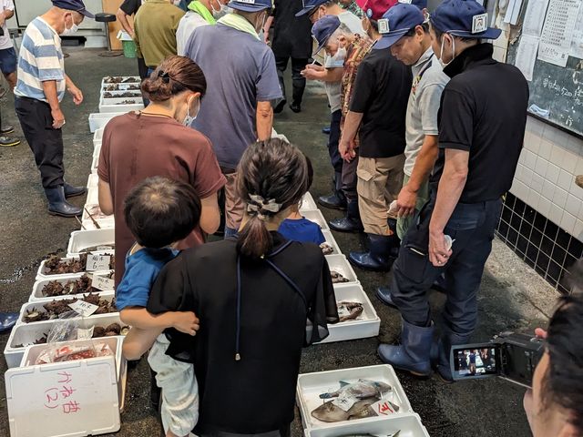 間近でみるセリ見学_熱海魚市場