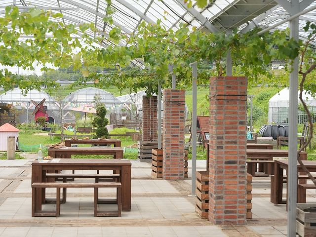 FARMER’S BBQ by the Farm UNIVERSAL
