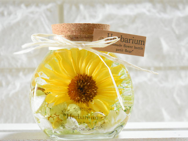 Herbarium fleur rose