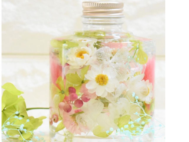 Herbarium fleur rose
