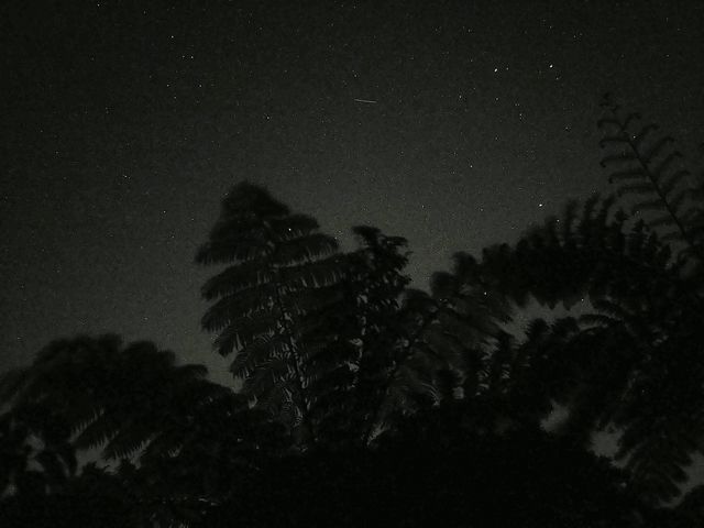やんばる星み隊