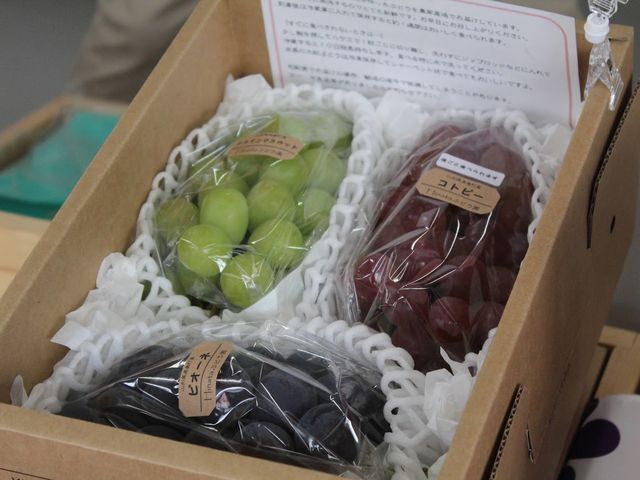 ふるさと納税返礼品や発送も承ります。_Hinata ぶどう園