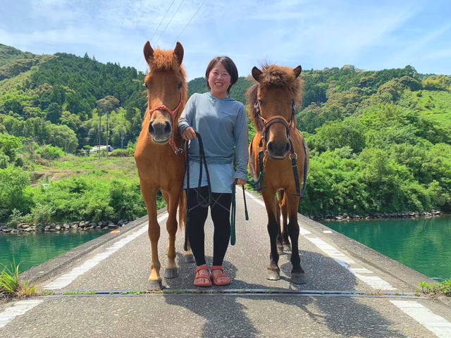 私がガイドさせて頂きます!四万十市出身の地元ガイドです!_四万十馬牧場