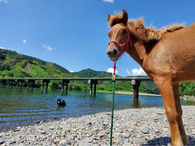 四万十馬牧場