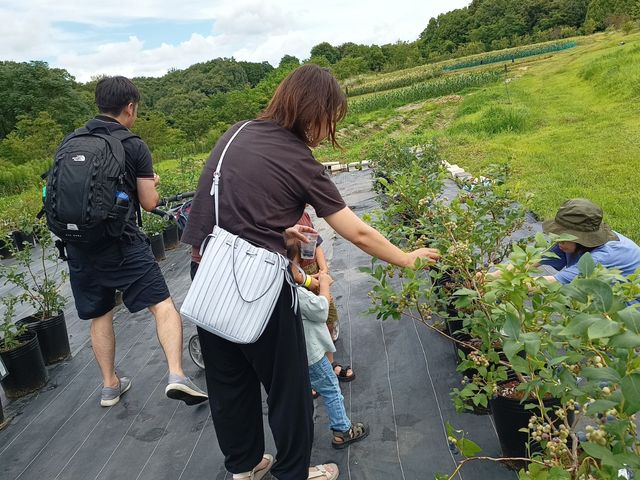 ほしつぶファーム