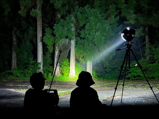 昆虫採集体験_夜空と星のキャンプ場