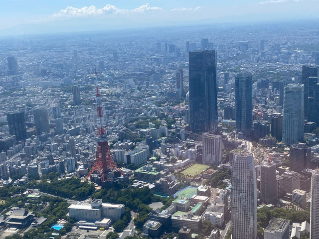 飛行ルートによっては東京タワーも目の前に!_SKYDIVE AZUL