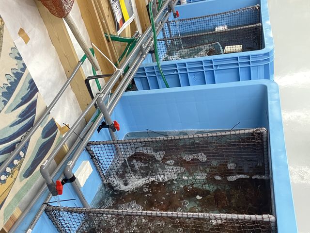 生簀_East 水産