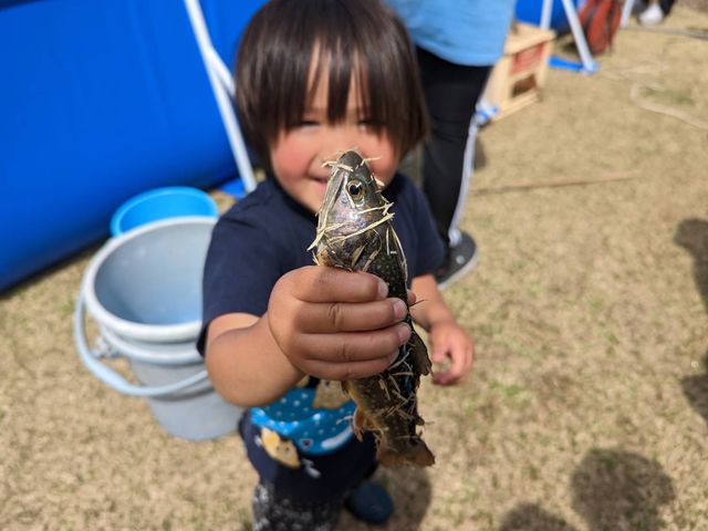セラピーファームめごたま