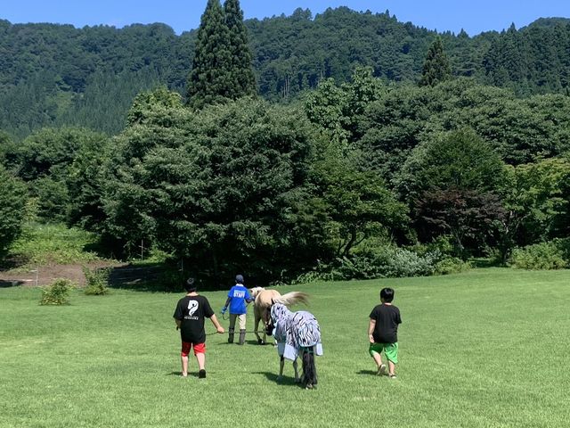 お馬さんとお散歩!_セラピーファームめごたま