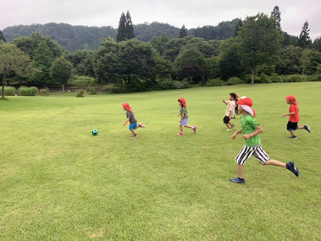 広い芝生で思い切り遊べます。_セラピーファームめごたま