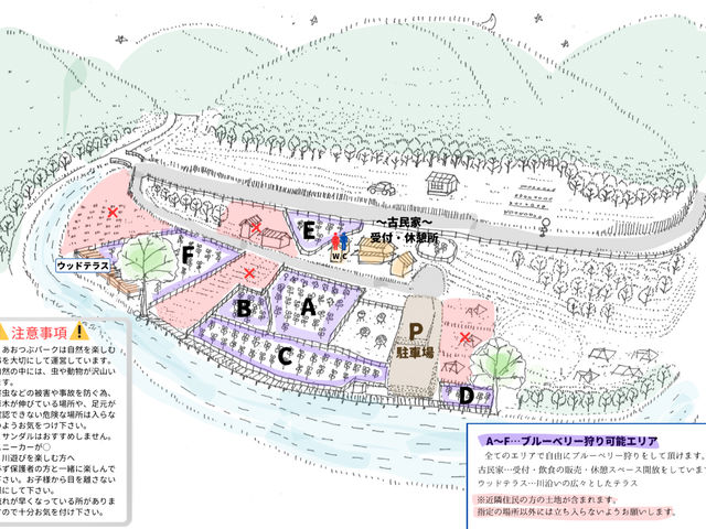ありのままの大自然の中で、のんびりブルーベリー狩りを楽しめる!安心の無農薬、自然栽培にこだわったブルーベリーです。他にもキャンプやBBQをできるエリアもあります_あおつぶパーク