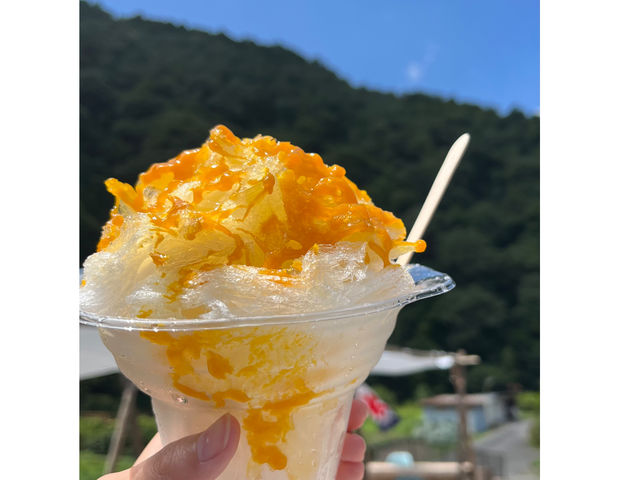 あおつぶパーク