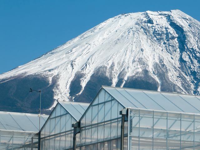 井出トマト農園 富士高原農場