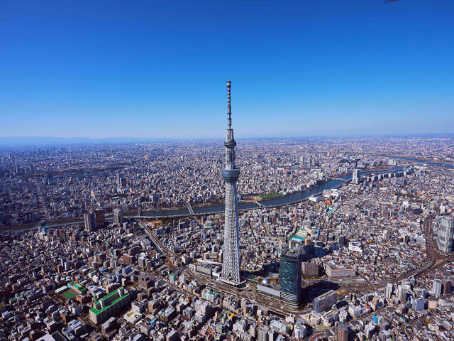 アリエア東京