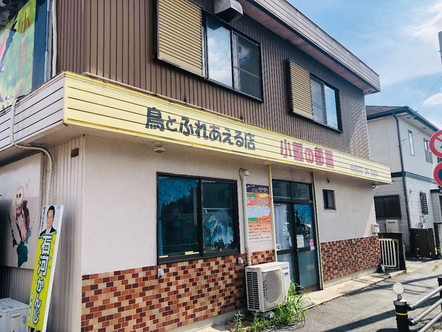 外観_バードカフェ小哲の部屋