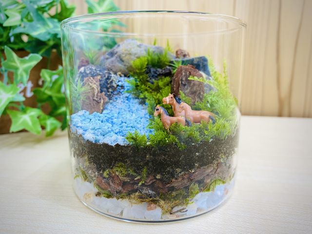 ちいさな苔屋さん