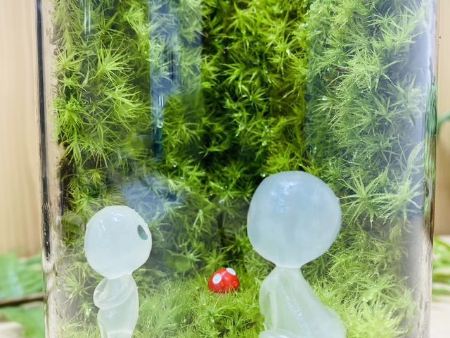 ちいさな苔屋さん
