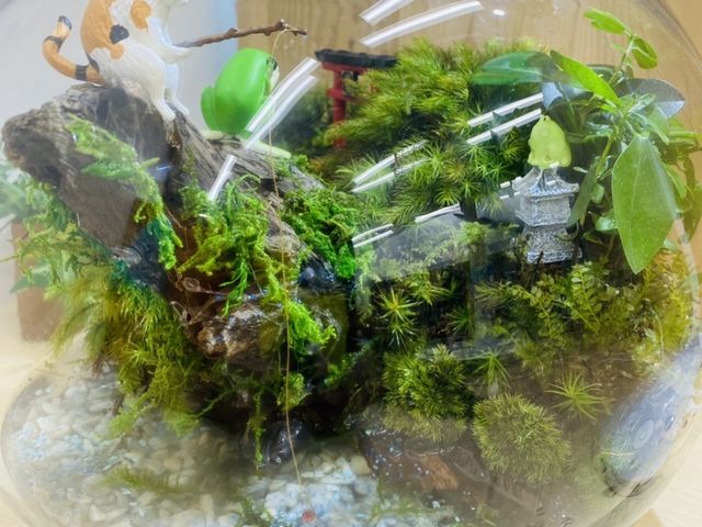 ちいさな苔屋さん