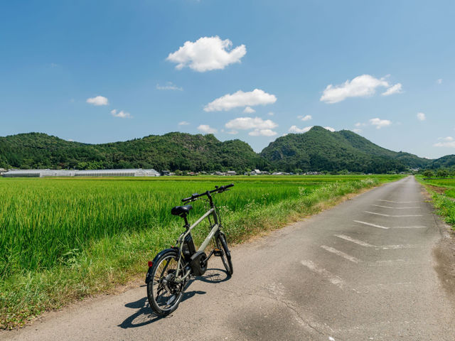 山と谷で続くつづやの土地の構造上、近辺は大型車が入ってこれない快適な道ばかり。
その為、散歩にもサイクリングに快適な場所となっています。_つづやビレッジ