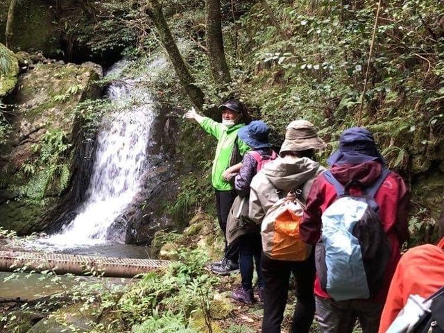 「苔の美しい場所」で、心身ともに癒やされる旅に行きませんか?_兵庫苔ラボ
