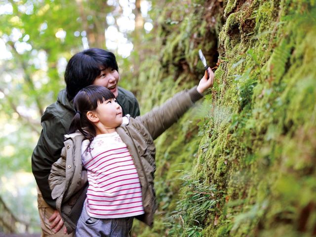 「苔の美しい場所」で、心身ともに癒やされる旅に行きませんか?_兵庫苔ラボ