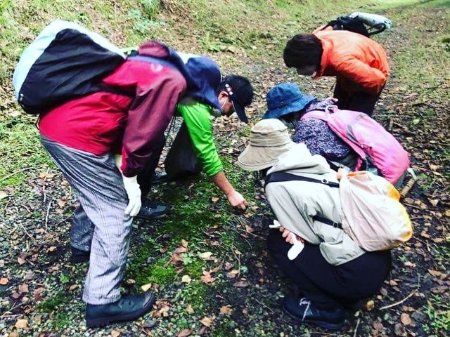 「苔の美しい場所」で、心身ともに癒やされる旅に行きませんか?_兵庫苔ラボ