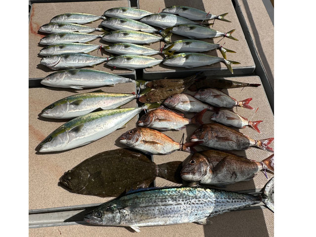 魚種も豊富!
鳴門海峡の魚は身の締まりが凄く美味しいです!
血抜き、神経締め、氷締めまでさせていただきます!
より美味しい状態でお持ち帰りできます。_釣り船 皇