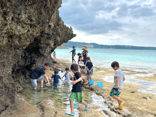 子供たちに大人気の”磯遊び生物ハント体験“_Anjel club okinawa