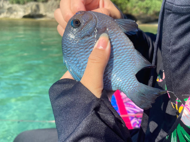 熱帯魚釣り体験“トロピカルフィッシング”_Anjel club okinawa
