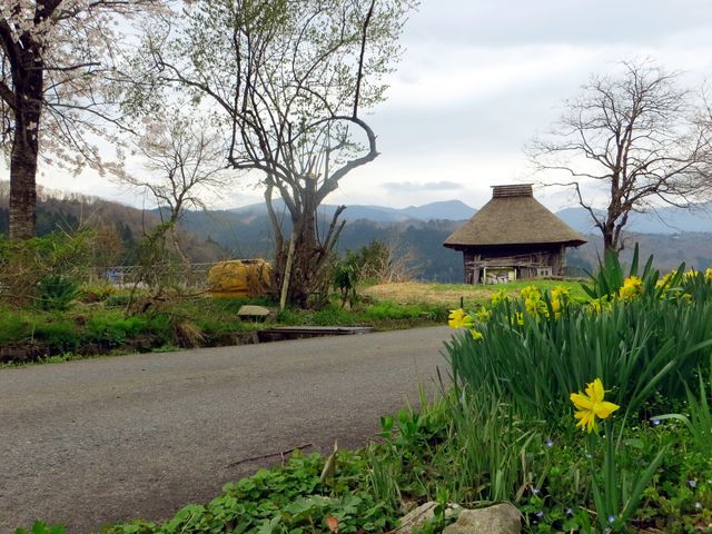 御机の茅葺小屋