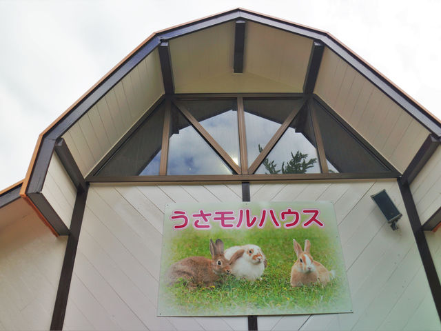 マザー牧場 うさモルハウス