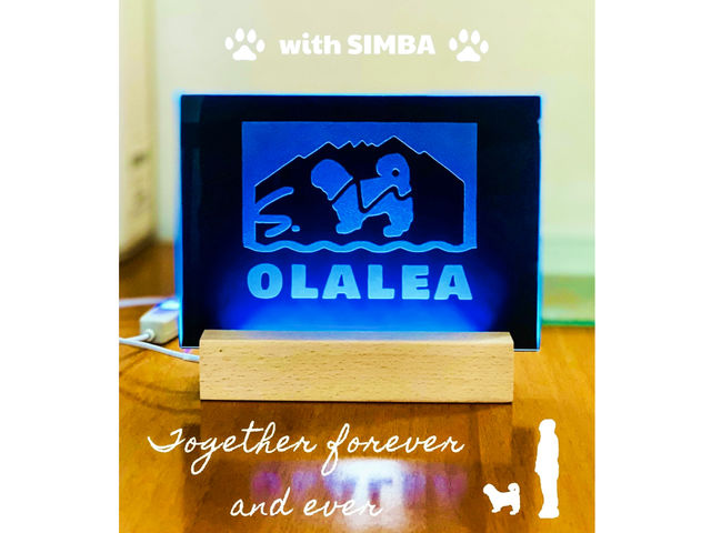 with SIMBA ブラックガラスのLEDパネル デザインを彫刻した部分とパネルの端が光ます_オラレア茅ヶ崎アートクラフト