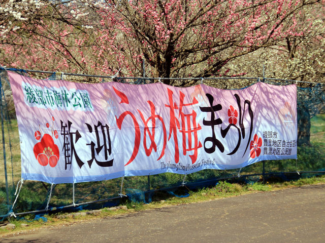 綾部市梅林公園