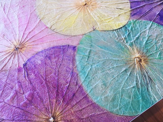 蓮の葉アート 天然の蓮の葉に触れながらアートな時間を過ごしてみませんか?_atelier 紫陽花