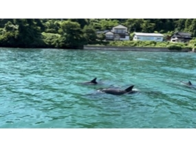 能登島クルーズ