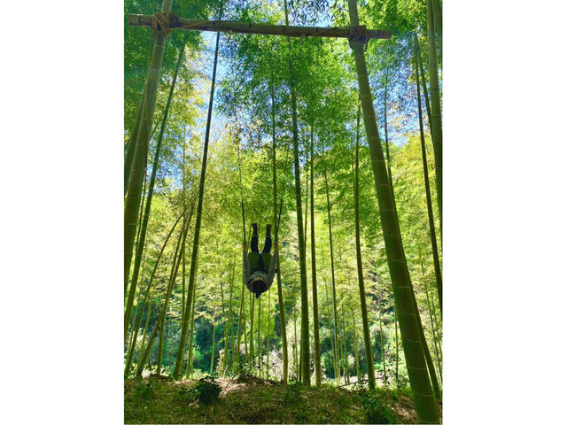 たけのこ山には大きな竹のブランコがあります!_やまんた農園