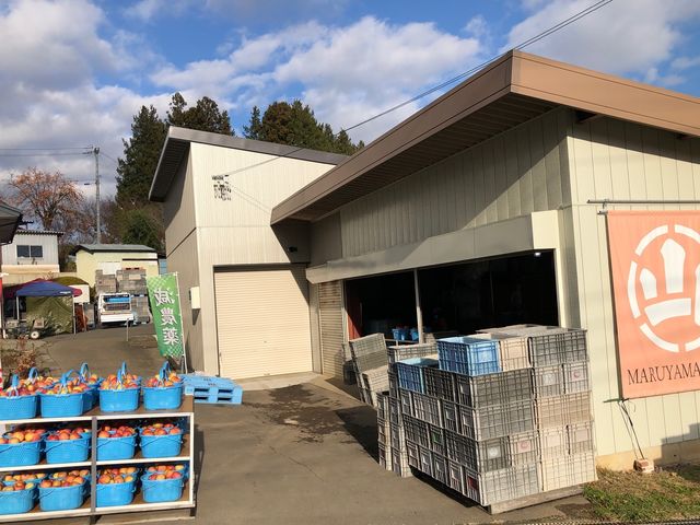 信州マルヤマリンゴ農園