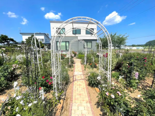 自宅で押し花、レカンフラワー教室をやっております。_felice(フェリーチェ)