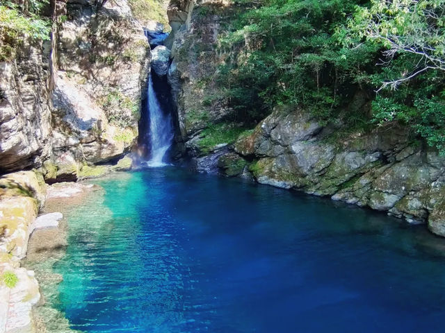 watanavi