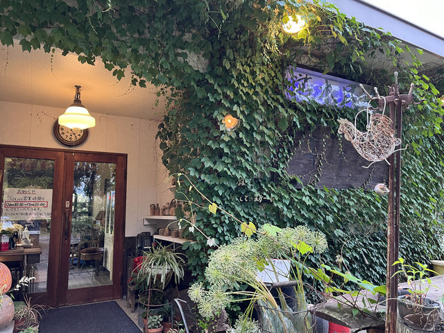 店の入り口のツタも10年を超えてここまで育ちました。_喫茶遊木民族 やきもの教室