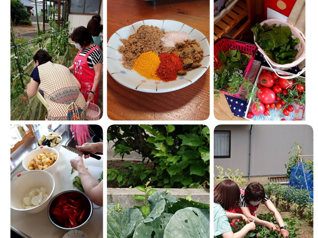 晴ファームの採れたて新鮮野菜を使った
アーユルヴェーダスパイス料理教室_晴Yoga.Style.