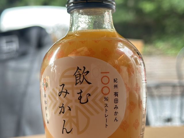 有田みかん丸ごと3個分_アークの森キャンプ場 バーベキューパーク・GRILL・Yachiyo