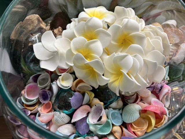 Workshop Sea Flower