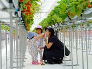 道の駅前猪苗代いちご園の写真2