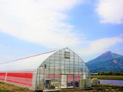 道の駅前猪苗代いちご園の写真3