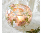 Herbarium fleur roseの写真3